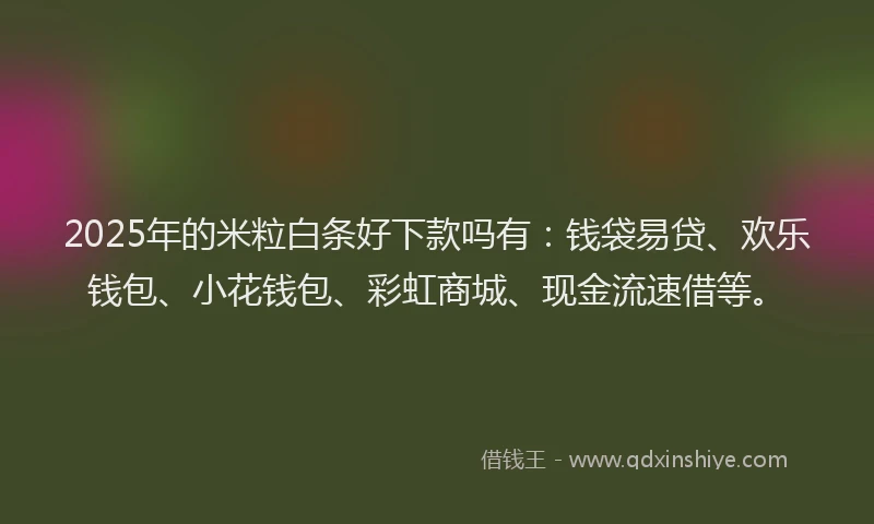 2025年的米粒白条好下款吗有：钱袋易贷、欢乐钱包、小花钱包、彩虹商城、现金流速借等。