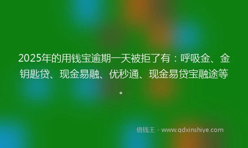 2025年的用钱宝逾期一天被拒了有：呼吸金、金钥匙贷、现金易融、优秒通、现金易贷宝融途等。