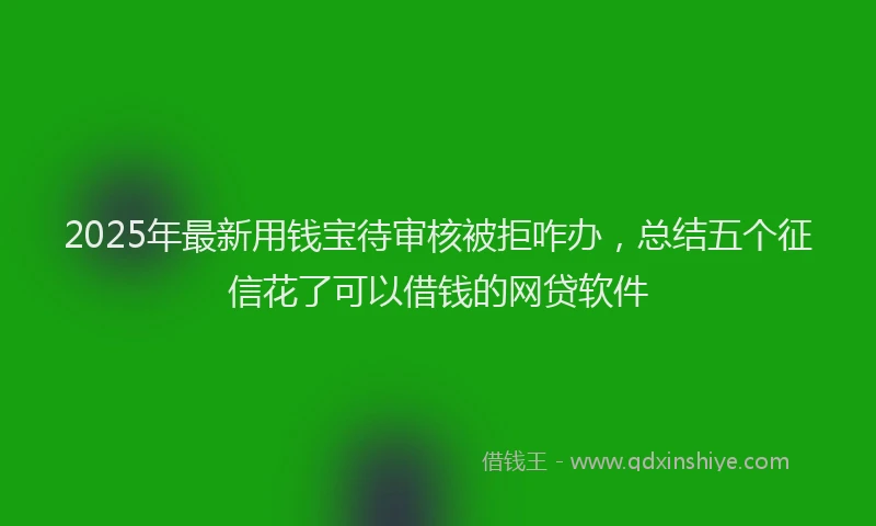 2025年最新用钱宝待审核被拒咋办，总结五个征信花了可以借钱的网贷软件