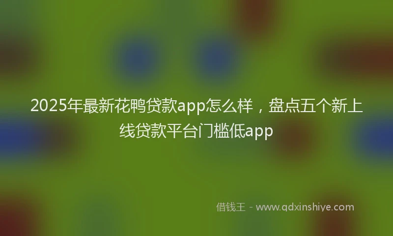 2025年最新花鸭贷款app怎么样，盘点五个新上线贷款平台门槛低app