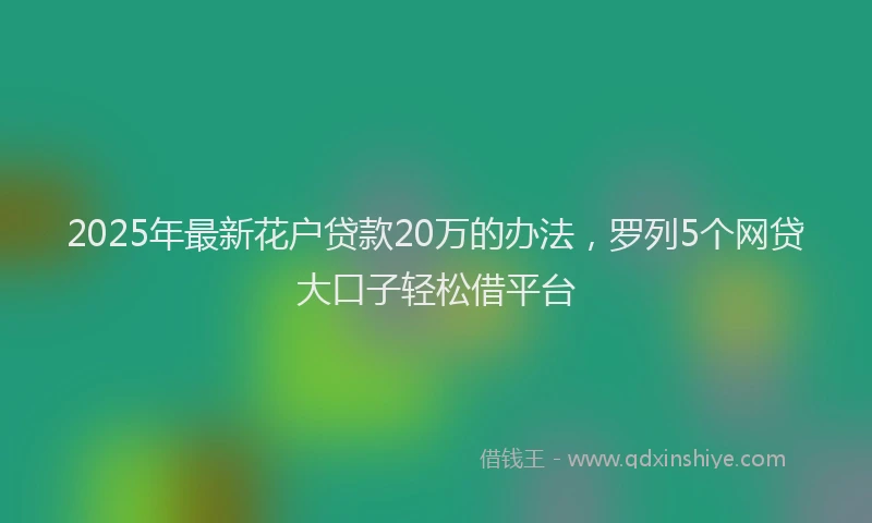 2025年最新花户贷款20万的办法，罗列5个网贷大口子轻松借平台