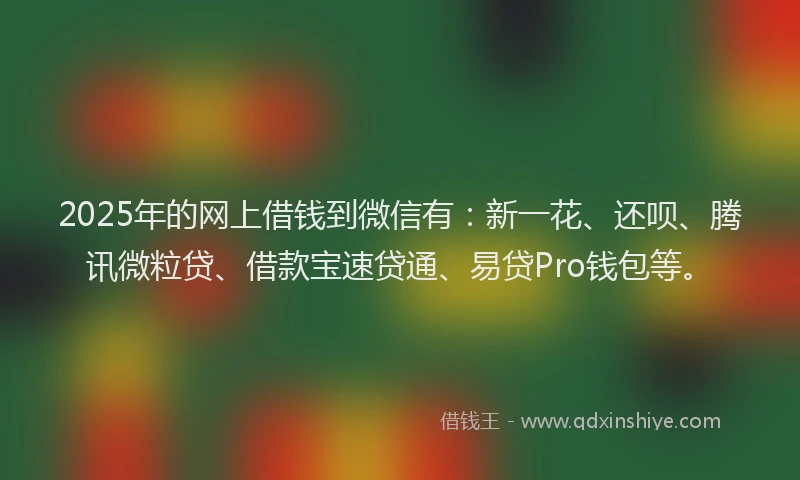 2025年的网上借钱到微信有：新一花、还呗、腾讯微粒贷、借款宝速贷通、易贷Pro钱包等。