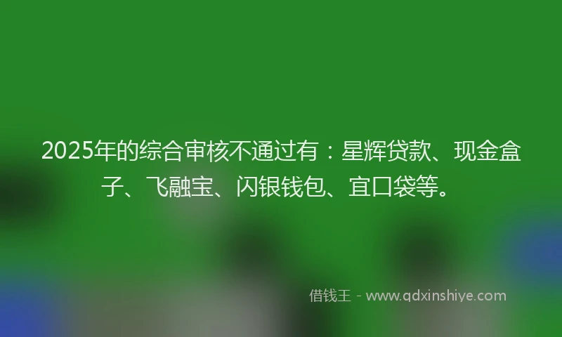 2025年的综合审核不通过有：星辉贷款、现金盒子、飞融宝、闪银钱包、宜口袋等。