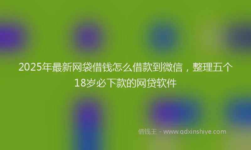 2025年最新网袋借钱怎么借款到微信，整理五个18岁必下款的网贷软件