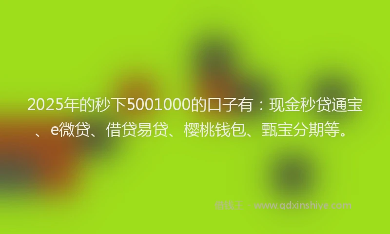 2025年的秒下5001000的口子有：现金秒贷通宝、e微贷、借贷易贷、樱桃钱包、甄宝分期等。