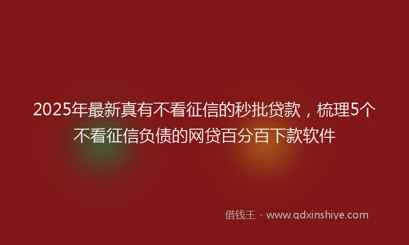 2025年最新真有不看征信的秒批贷款，梳理5个不看征信负债的网贷百分百下款软件