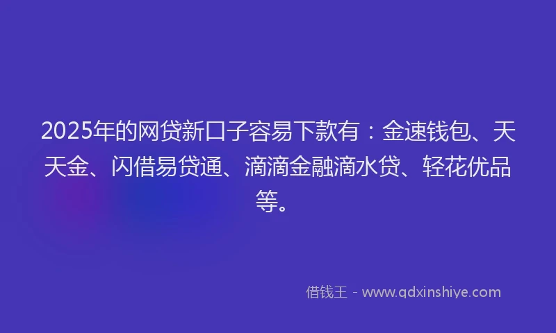 2025年的网贷新口子容易下款有：金速钱包、天天金、闪借易贷通、滴滴金融滴水贷、轻花优品等。