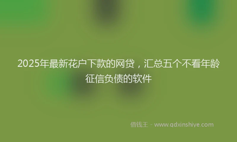 2025年最新花户下款的网贷，汇总五个不看年龄征信负债的软件
