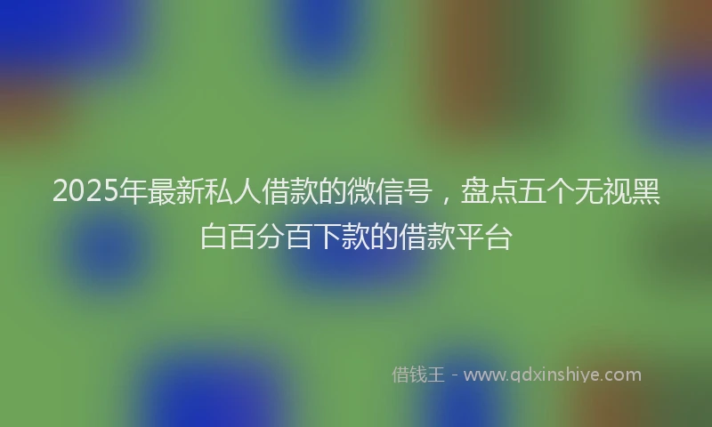 2025年最新私人借款的微信号，盘点五个无视黑白百分百下款的借款平台
