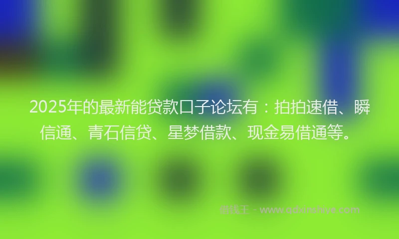 2025年的最新能贷款口子论坛有：拍拍速借、瞬信通、青石信贷、星梦借款、现金易借通等。
