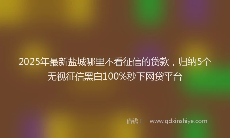 2025年最新盐城哪里不看征信的贷款，归纳5个无视征信黑白100%秒下网贷平台