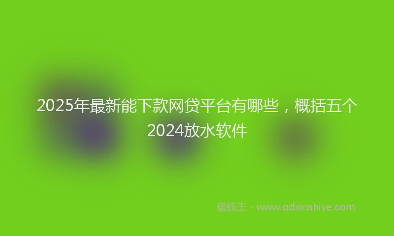 2025年最新能下款网贷平台有哪些，概括五个2024放水软件
