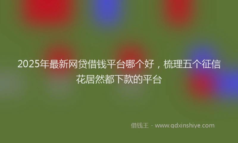 2025年最新网贷借钱平台哪个好，梳理五个征信花居然都下款的平台