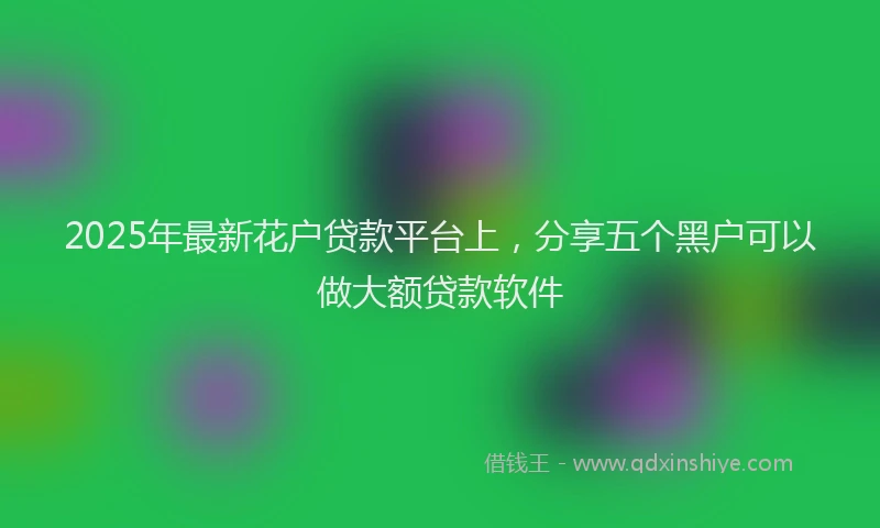 2025年最新花户贷款平台上，分享五个黑户可以做大额贷款软件