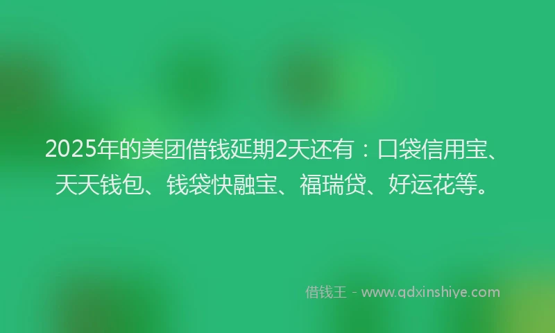 2025年的美团借钱延期2天还有：口袋信用宝、天天钱包、钱袋快融宝、福瑞贷、好运花等。