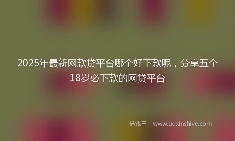 2025年最新网款贷平台哪个好下款呢，分享五个18岁必下款的网贷平台