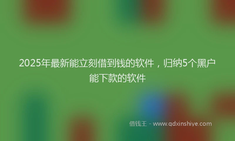2025年最新能立刻借到钱的软件，归纳5个黑户能下款的软件