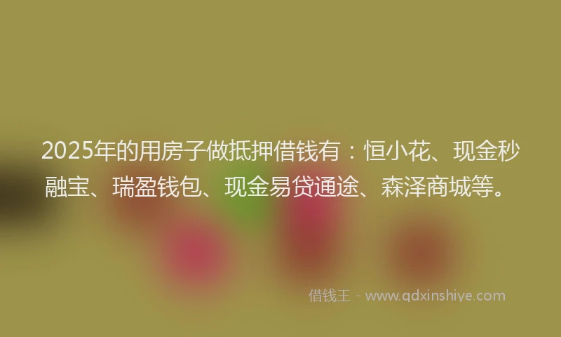 2025年的用房子做抵押借钱有：恒小花、现金秒融宝、瑞盈钱包、现金易贷通途、森泽商城等。