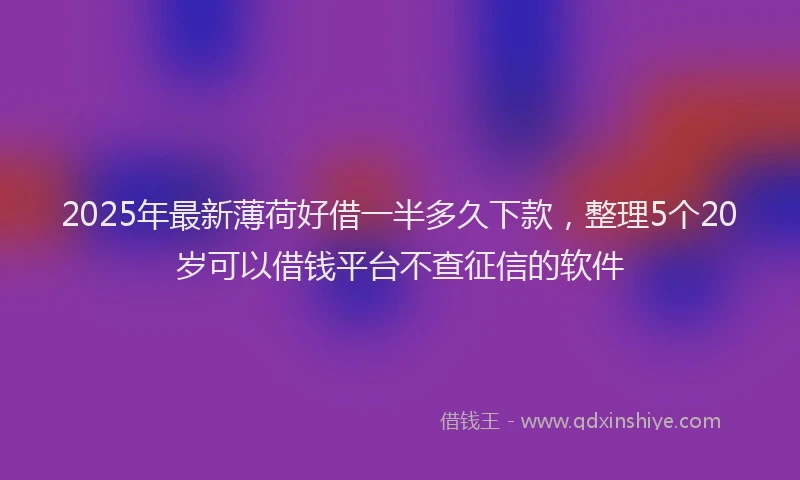 2025年最新薄荷好借一半多久下款，整理5个20岁可以借钱平台不查征信的软件