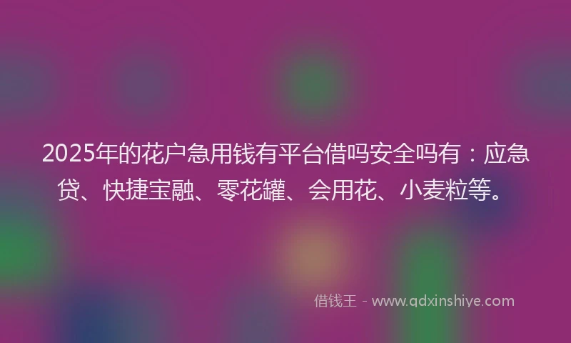 2025年的花户急用钱有平台借吗安全吗有：应急贷、快捷宝融、零花罐、会用花、小麦粒等。