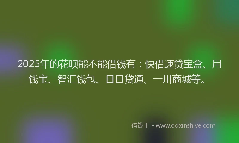 2025年的花呗能不能借钱有：快借速贷宝盒、用钱宝、智汇钱包、日日贷通、一川商城等。