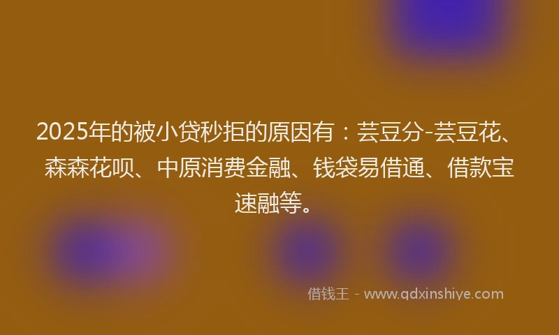 2025年的被小贷秒拒的原因有：芸豆分-芸豆花、森森花呗、中原消费金融、钱袋易借通、借款宝速融等。