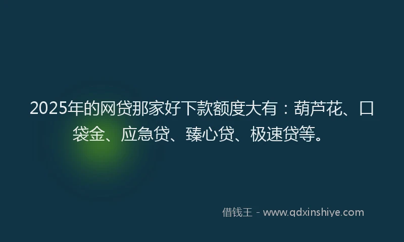 2025年的网贷那家好下款额度大有：葫芦花、口袋金、应急贷、臻心贷、极速贷等。