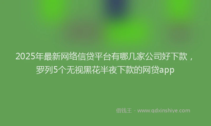 2025年最新网络信贷平台有哪几家公司好下款，罗列5个无视黑花半夜下款的网贷app