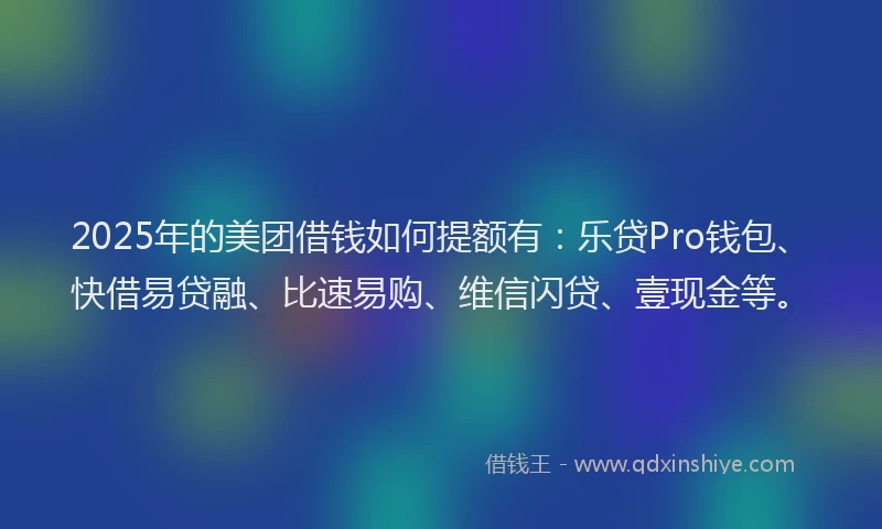 2025年的美团借钱如何提额有:乐贷Pro钱包、快借易贷融、比速易购、维信闪贷、壹现金等。