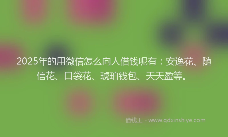 2025年的用微信怎么向人借钱呢有：安逸花、随信花、口袋花、琥珀钱包、天天盈等。