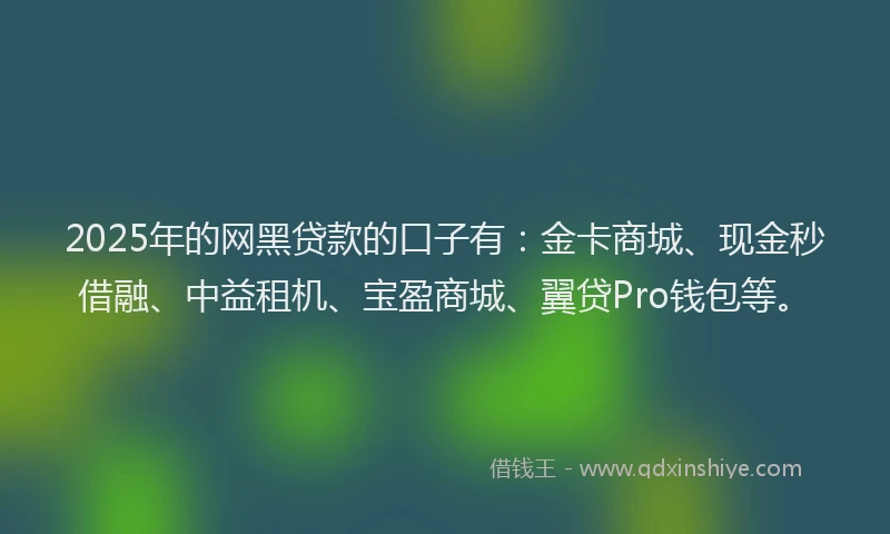 2025年的网黑贷款的口子有：金卡商城、现金秒借融、中益租机、宝盈商城、翼贷Pro钱包等。
