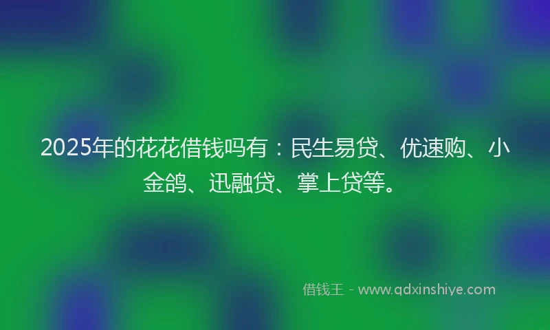 2025年的花花借钱吗有：民生易贷、优速购、小金鸽、迅融贷、掌上贷等。