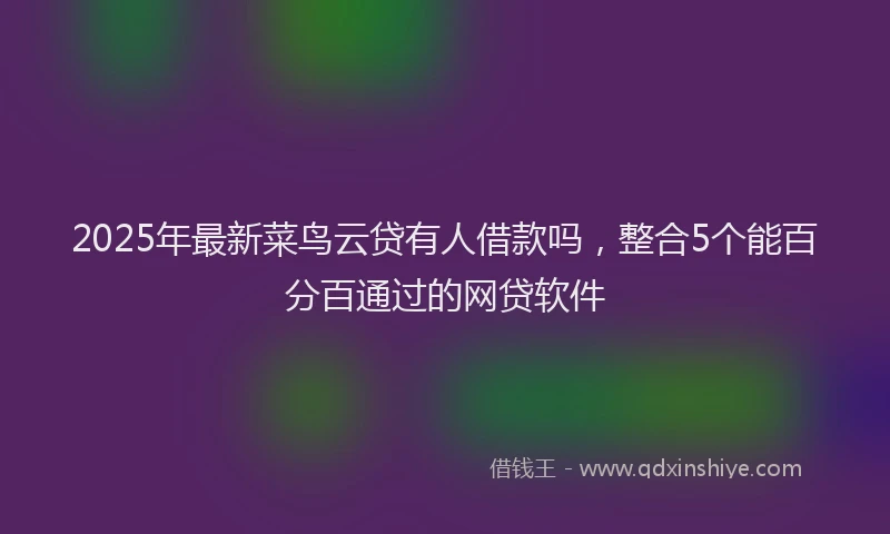 2025年最新菜鸟云贷有人借款吗，整合5个能百分百通过的网贷软件