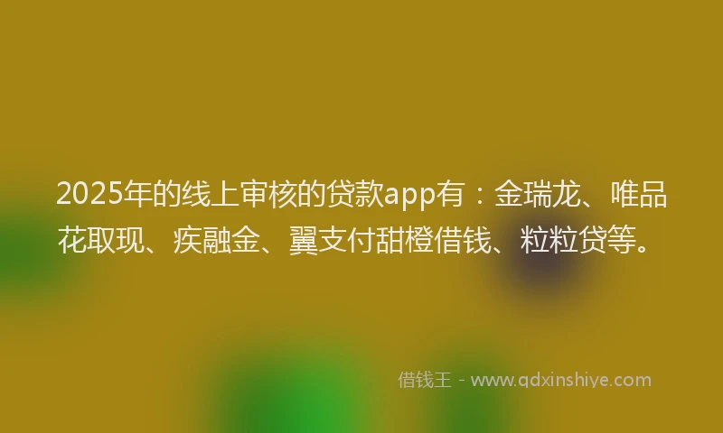 2025年的线上审核的贷款app有：金瑞龙、唯品花取现、疾融金、翼支付甜橙借钱、粒粒贷等。