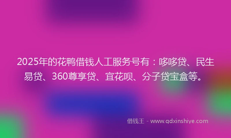 2025年的花鸭借钱人工服务号有：哆哆贷、民生易贷、360尊享贷、宜花呗、分子贷宝盒等。