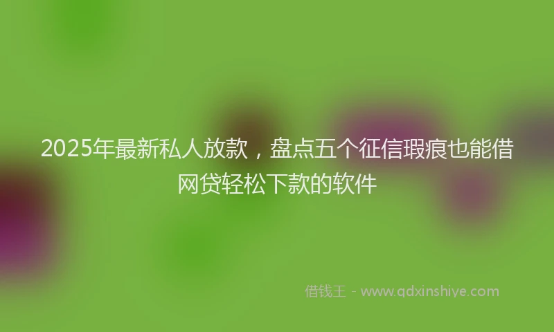 2025年最新私人放款，盘点五个征信瑕疵也能借网贷轻松下款的软件