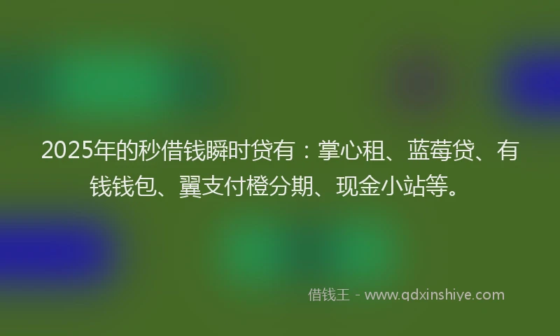2025年的秒借钱瞬时贷有：掌心租、蓝莓贷、有钱钱包、翼支付橙分期、现金小站等。