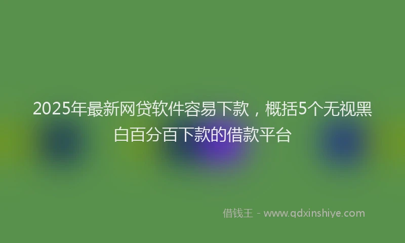 2025年最新网贷软件容易下款，概括5个无视黑白百分百下款的借款平台