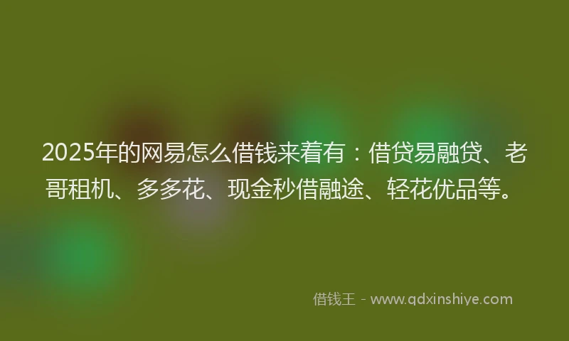 2025年的网易怎么借钱来着有：借贷易融贷、老哥租机、多多花、现金秒借融途、轻花优品等。