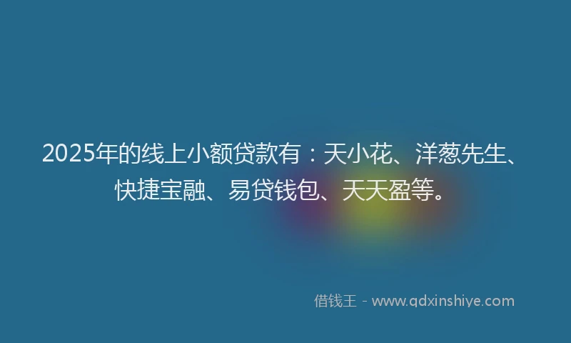 2025年的线上小额贷款有：天小花、洋葱先生、快捷宝融、易贷钱包、天天盈等。