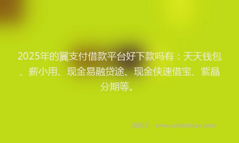 2025年的翼支付借款平台好下款吗有：天天钱包、薪小用、现金易融贷途、现金侠速借宝、紫晶分期等。