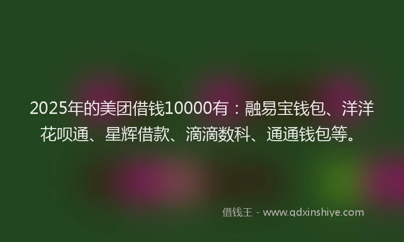 2025年的美团借钱10000有：融易宝钱包、洋洋花呗通、星辉借款、滴滴数科、通通钱包等。