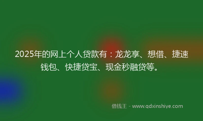 2025年的网上个人贷款有：龙龙享、想借、捷速钱包、快捷贷宝、现金秒融贷等。
