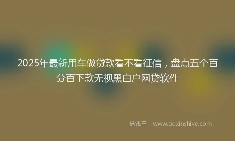 2025年最新用车做贷款看不看征信，盘点五个百分百下款无视黑白户网贷软件