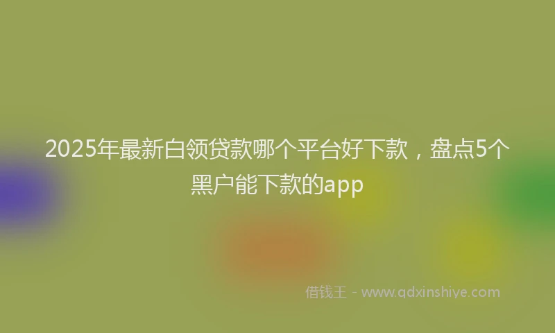 2025年最新白领贷款哪个平台好下款，盘点5个黑户能下款的app