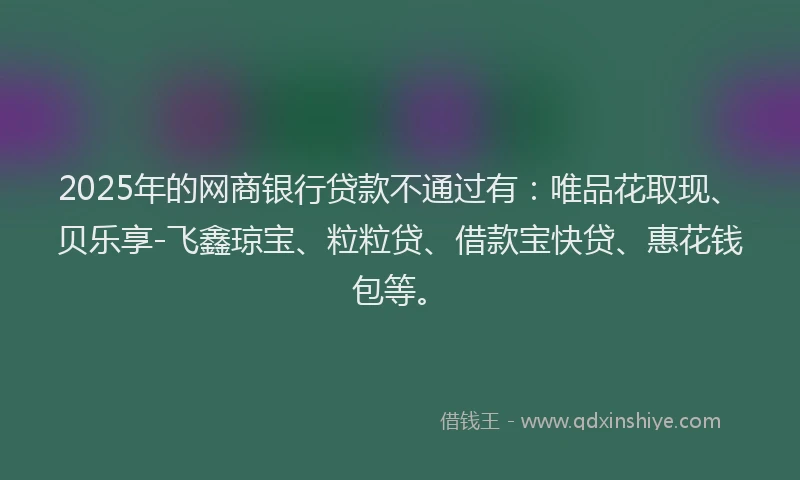 2025年的网商银行贷款不通过有：唯品花取现、贝乐享-飞鑫琼宝、粒粒贷、借款宝快贷、惠花钱包等。