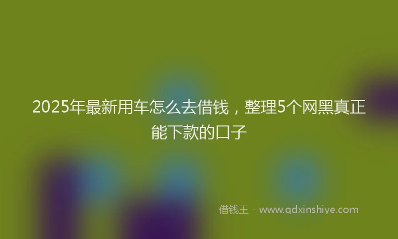 2025年最新用车怎么去借钱，整理5个网黑真正能下款的口子
