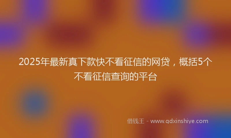 2025年最新真下款快不看征信的网贷，概括5个不看征信查询的平台