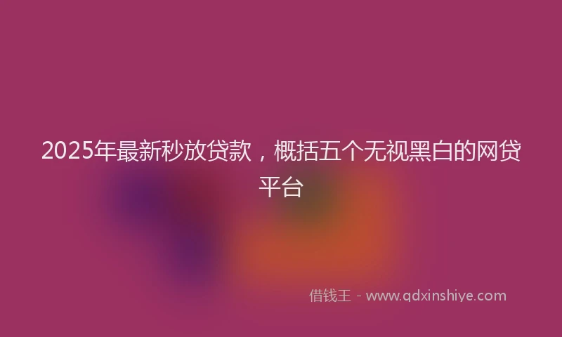 2025年最新秒放贷款，概括五个无视黑白的网贷平台