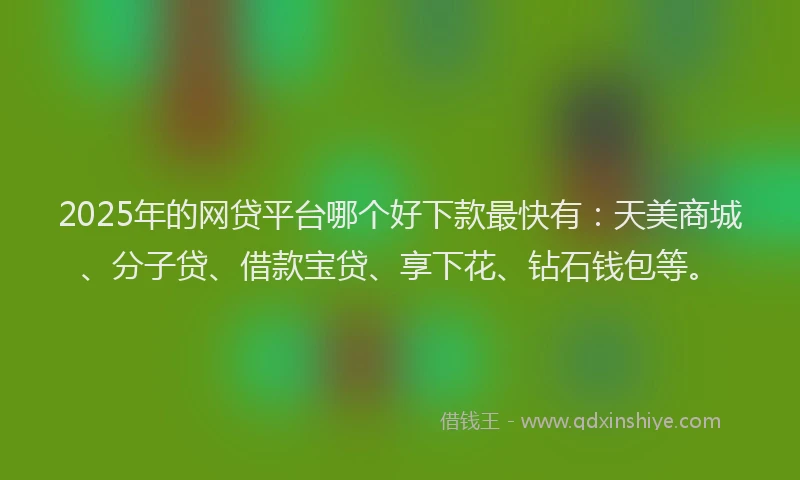 2025年的网贷平台哪个好下款最快有：天美商城、分子贷、借款宝贷、享下花、钻石钱包等。